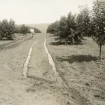 farm in new meadows