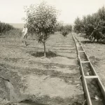 farm in new meadows