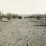 farm in new meadows