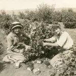 woman working together on farm in new meadows