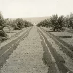 farm in new meadows