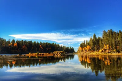 Fall at Louie Lake