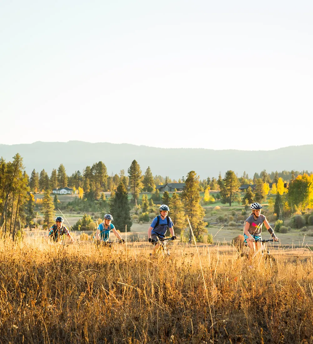 Family Ride on mountain bikes