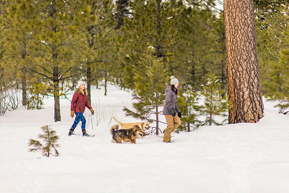 Snowshoeing