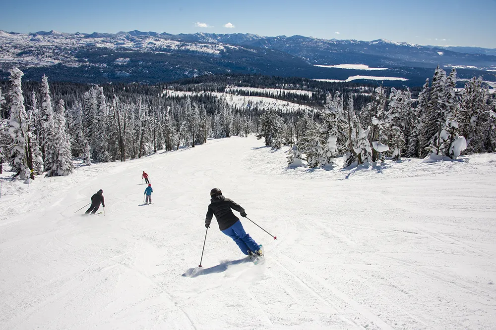 downhill skiers