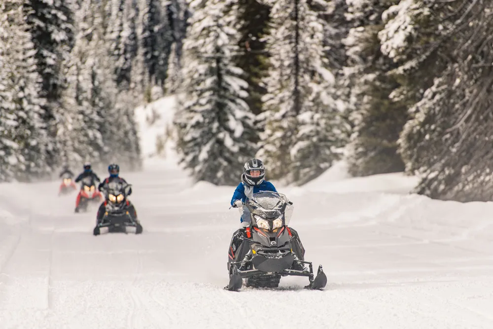 group of snowmobiles